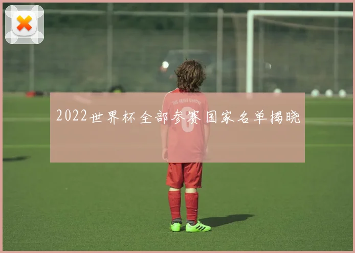 2022世界杯全部参赛国家名单揭晓