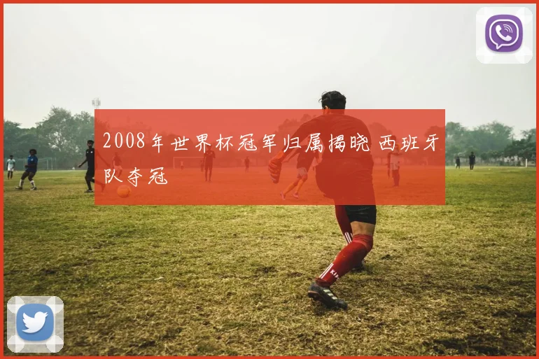 2008年世界杯冠军归属揭晓 西班牙队夺冠