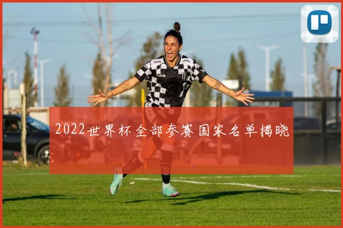 2022世界杯全部参赛国家名单揭晓