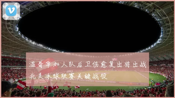 温哥华加人队后卫伤愈复出将出战北美冰球联赛关键战役